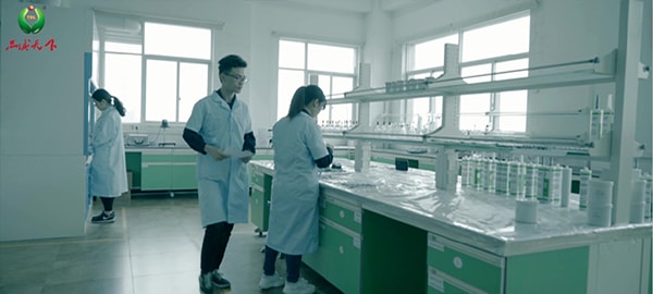 Technical R & D